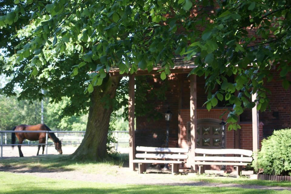 Hostel Milosz Grabowiec  Exterior photo